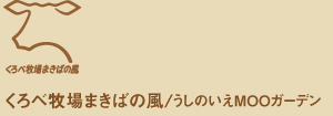 くろべ牧場 まきばの風