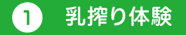 乳搾り体験