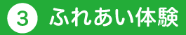 動物とのふれあい体験