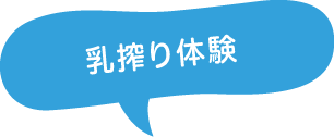 乳搾り体験