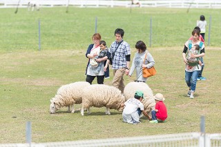 近くで見るとモフモフ♪